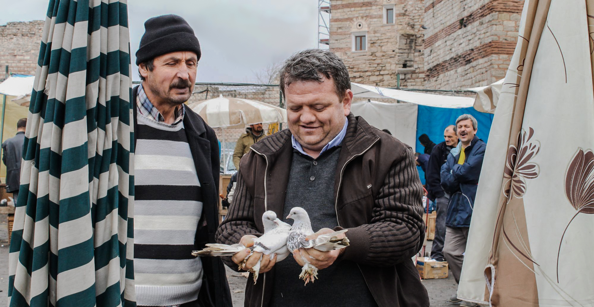 Naomi Cohen  |  journalist